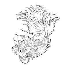 Betta Fish Coloring Pages Best Coloring Pages For Kids Fish Coloring Page Fish Drawings Betta Fish Tattoo