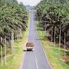 Lembaga kemajuan tanah persekutuan (felda) (bahasa inggeris: Https Encrypted Tbn0 Gstatic Com Images Q Tbn And9gcsehokolfnuwluegm6szomifsalvw Epkzsbzjluwkhlse8ub 6 Usqp Cau