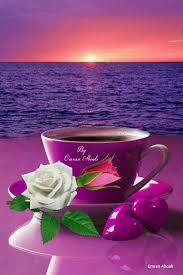 nature flowers sunset sunrise by omran aboali google good morning coffee good night greetings good morning gif