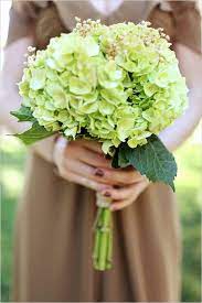 Soft Southern Vintage Wedding Green Hydrangea Bouquet Hydrangea Bridesmaid Bouquet Wedding Flowers Hydrangea