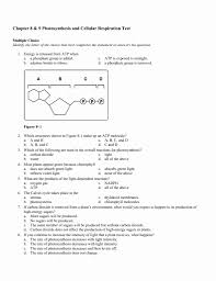 Cellular respiration overview pogil answer key bing. Cellular Respiration Pogil Worksheet Answer Key Studylib Net Essys Homework Help Flashcards Research Andersen Walks You Through The Cellular Respiration Lab Intro Music Atributiontitle Dirutshek
