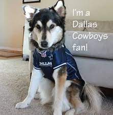 Dog Football Jerseys At Pet Super Store With Our Best Dog Football Jersey Dallas Cowboys Fans Cowboys Nation