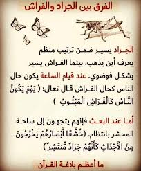 Pin On مناجاة وادعية اسلاميات
