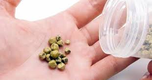 Safra Kesesi Tasi Dogal Yollarla Nasil Duser Safra Kesesi Tasi Bitki Dogal Saglik