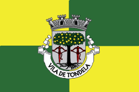 On 9 january 2016, petit left the club and was replaced by pepa. Tondela Municipality Portugal