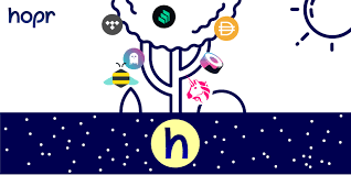 Hopr is an award winning full service design boutique specializing in motion graphics Lfwmkokjnvopdm