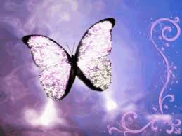 Image result for animated butterflies wallpaper