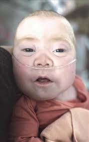 In Loving Memory-April 2024 by Lewistown Sentinel