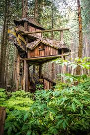 Check spelling or type a new query. Fantasy Forest Tree House In British Columbia Designs Ideas On Dornob