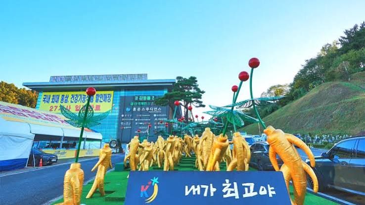 금산세계인삼축제 写真 4