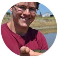 Suburbanization feminizes frog offspring sex ratios