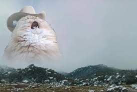 Cat mom does not approve of stealing >:3. Screaming Cowboy Cat Blank Template Imgflip