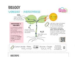 Worksheets and lesson ideas to challenge students aged 11 to 16 to think hard about photosynthesis (gcse and key stage 3). Photosynthesis Worksheet Teaching Resources