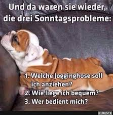 Pin Von Franz Auf Sonntagsspruche Witzige Spruche Facebook Humor Witzige Bilder Spruche