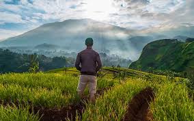 Harga tiket masuk kawasan wisata kebun teh cipasung majalengka di banderol rp.10.000 / orang dan biaya parkir kendaraan roda dua sebesar untuk memanjakan para pengunjungnya, pihak pengelola kawasan sudah menyediakan beberapa fasilitas pendukung wisata yang bisa anda nikmati. Nomor Hp Pengelola Kebun Teh Cipasung Majalengka Nomor Hp Pengelola Kebun Teh Cipasung Majalengka Wisata Terdapat 2 Pilihan Untuk Diri Sendiri Atau Untuk Mengelola Bisnis Saya Letha Mallette