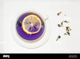 Lemon party hi-res stock photography and images - Alamy
