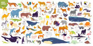 Big Vector Set Of Different World Wild Animals Mammals Fish Reptiles And Birds Rare Animals Funny Flat Characters Good Rare Animals Animals Wild Mammals