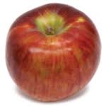 We have produced apple cider pressed from our own apples on the farm for over 50 years. Clarkdale Fruit Farms New England Apples
