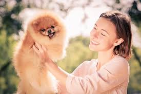 Looking for stores to shop around you? The Pet Zone Ny Albany Poughkeepsie Queensbury Watertown Home Page