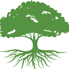 Knowing your gear is maintained to the highest standards, allows you to focus on the dive. Black Collective Home Facebook