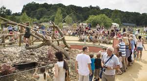 Frequently Asked Questions Faqs From Visitors To Marwell