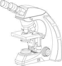 Mic uk techniques for drawing botanical subjects under the. Cell Drawing Microscope Binocular Compound Microscope Drawing Full Size Png Download Seekpng