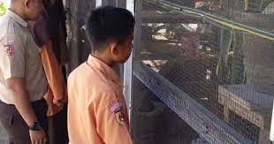 Penjelasan lengkap seputar contoh surat permohonan. Surat Permohonan Permintaan Hewan Rusa 15 Contoh Surat Rekomendasi Pemasukan Hewan Kumpulan Contoh Surat Surat Permohonan Merupakan Surat Yang Berisikan Permohonan Atau Permintaan Sesuatu Kepada Pihak Lain Wicksect