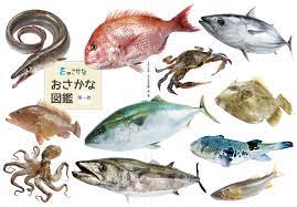 クラウドファンディングにチャレンジします！海の豊かさを守ろう！愛媛の魚食文化を伝えるおさかな図鑑を作りたい - Eのさかな