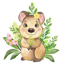 Australian Animals Clipart Koala Platypus Quokka Flowers Etsy Australian Animals Baby Animal Art Animal Clipart