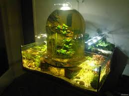 Aquarium Selber Bauen Aquarium Deko Selber Bauen Nano Aquarium Aquarium Aquascape