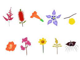 Pin On Illustrations