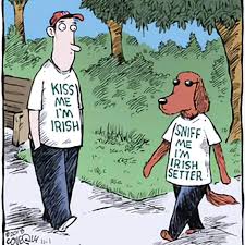 Image result for tbn:ANd9GcT9GTDvoeZslbTfRgc9SbtLfmHl15TvbB2vJ134_7_XnofUBeY3skxFMC8:https://www.doglife.sitew.com/fs/Root/5vdf8-5615663_chien_malade_sur_le_c_t_et_sur_fond_blanc.jpg