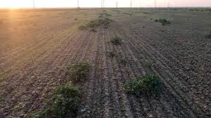 Ediția profesioniștii, 5 iunie 2021. RapiÈ›a NerÄƒsÄƒritÄƒ Drama Fermierului Care A Intors 600 De Hectare È™i A Pierdut 200 000 De Euro