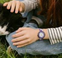 FANCY CAT