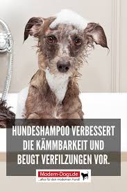 Hundeshampoo Welche Vorteile Und Nachteile Es Bietet In 2020 Hundeshampoo Hunde Hundeprodukte