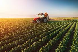 Agriculture in malaysia makes up twelve percent of the nation's gdp. Malaysia Agriculture Market Malaysia Agriculture Industry