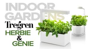 And surveys conducted by the furniture giant indicated that 60% of city dwellers polled used their kitchens to grow flowers and vegetables indoors. Tregren Herbie And Genie Indoor Gardens Youtube