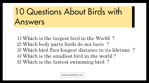 Sustainable coastlines hawaii the ocean is a powerful force. Quiz Questions And Answers On Birds Quiz Questions And Answers