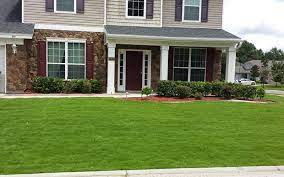 We did not find results for: Emerald Zoysia Lawn Maintenance