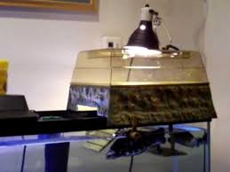 The reptology floating turtle pier is designed for tanks that are 20 gallons or larger. 10 Best Turtle Basking Platform Docks Ramps Basking Areas