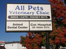 Furthermore, our veterinarians and staff are trained for many different surgeries such as. All Pets Veterinary Clinic Home Facebook