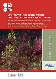 Image result for Verde Giannutri 2008 147