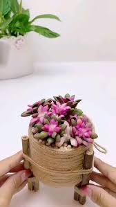 Olivia Vences (ovences807)