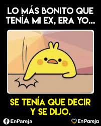 Como Surgio El Meme Del Pollito Se Tenia Que Decir Y Se Dijo
