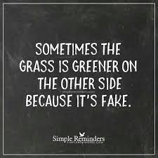 It Should Say That Sometimes It Looks Greener Looks Are Deceiving Words Quotes Life Quotes Words