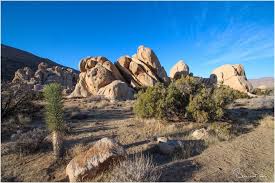 Maybe you would like to learn more about one of these? Joshua Tree National Park Tipps Sehenswurdigkeiten