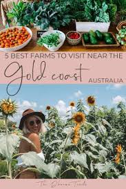 5 Gold Coast Farms To Visit For Your Fresh Produce Haul The Dharma Trails In 2020 Oceania Travel Eco Travel Australia Travel