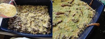 1 new plastic kitty litter pan liner. Kitty Litter Cake Recipe Gross Halloween Party Food