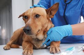 ETC Magazine Summer 2023 by mrobertsdigital