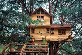 Sure, as a parent you can have tons of great ideas too, especially if you had a treehouse as a kid but there's also the safety issue. 13 Simple Treehouse Ideas You Can Build For Your Kids This Weekend Easy To Expert Levels Trees Com